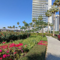 фото из отзыва ID 2586124