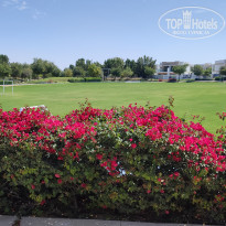 фото из отзыва ID 2586124