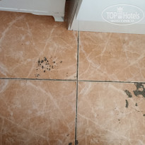 фото из отзыва ID 2593718