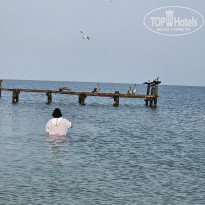 фото из отзыва ID 2599683