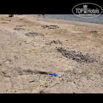 фото из отзыва ID 2601606