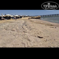 фото из отзыва ID 2601606