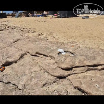 фото из отзыва ID 2601606