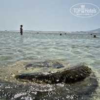 фото из отзыва ID 2601606