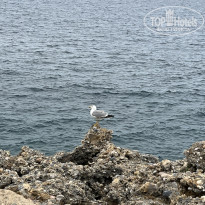 фото из отзыва ID 2604553