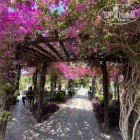 фото из отзыва ID 2602971