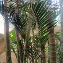 фото из отзыва ID 2610510