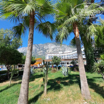 фото из отзыва ID 2612410