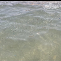 фото из отзыва ID 2618945