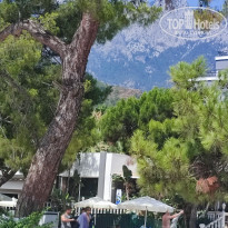 фото из отзыва ID 2618649