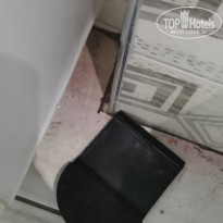 фото из отзыва ID 2619922