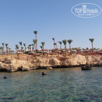 фото из отзыва ID 2620300