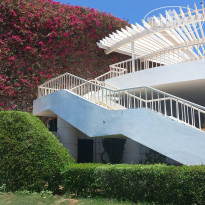 фото из отзыва ID 2621773