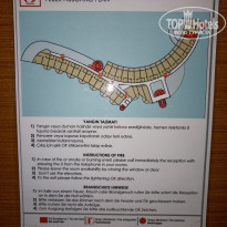 фото из отзыва ID 2623508