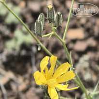 фото из отзыва ID 2624205