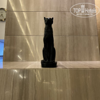 фото из отзыва ID 2625006