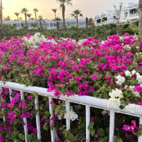 фото из отзыва ID 2625006