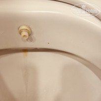 фото из отзыва ID 2627210