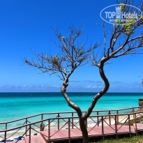 фото из отзыва ID 2627313