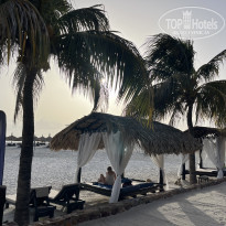 фото из отзыва ID 2629236