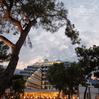 фото из отзыва ID 2631119