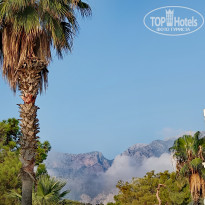 фото из отзыва ID 2631119