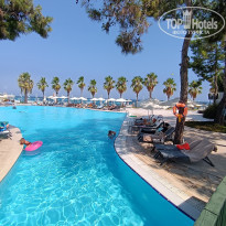 фото из отзыва ID 2631119