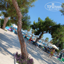 фото из отзыва ID 2631119