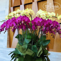 фото из отзыва ID 2632219