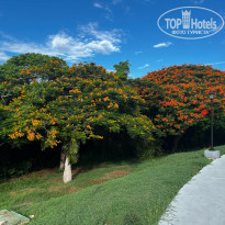 фото из отзыва ID 2632318