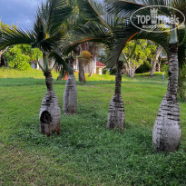 фото из отзыва ID 2632318