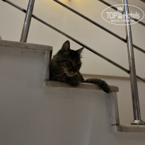 фото из отзыва ID 2633206