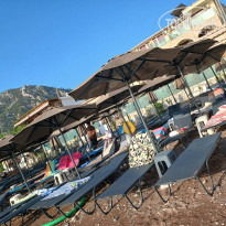 фото из отзыва ID 2634227