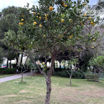 фото из отзыва ID 2634266