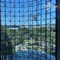 фото из отзыва ID 2634360