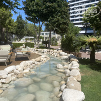 фото из отзыва ID 2634360