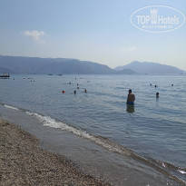 фото из отзыва ID 2635532