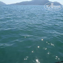 фото из отзыва ID 2635532