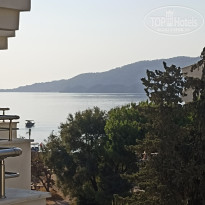 фото из отзыва ID 2635532