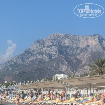 фото из отзыва ID 2637300