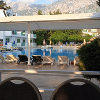 фото из отзыва ID 2638428