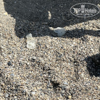 фото из отзыва ID 2639457