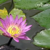 фото из отзыва ID 2638022