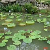 фото из отзыва ID 2638022