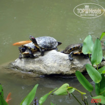 фото из отзыва ID 2638022