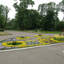 фото из отзыва ID 2638354