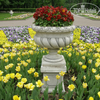 фото из отзыва ID 2638354