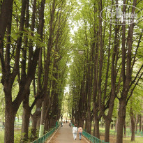 фото из отзыва ID 2638354