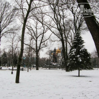 фото из отзыва ID 2637234