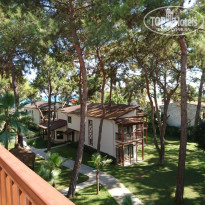 фото из отзыва ID 2632927